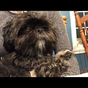 Meet your Posher, Kristen